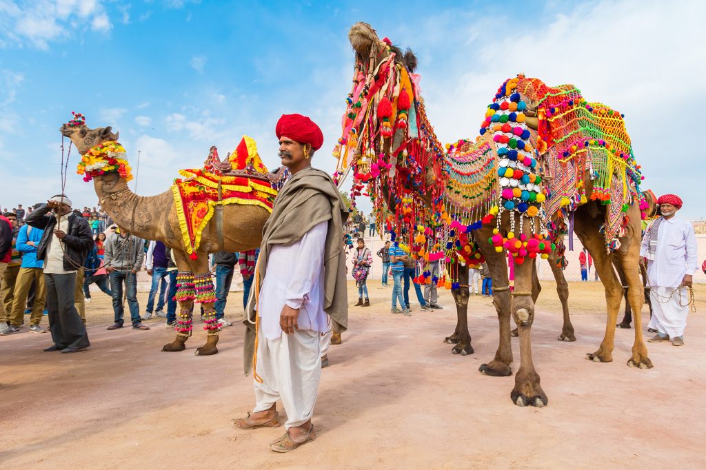 Pushkar Fair Tours in India with Camel Safari Tours in India